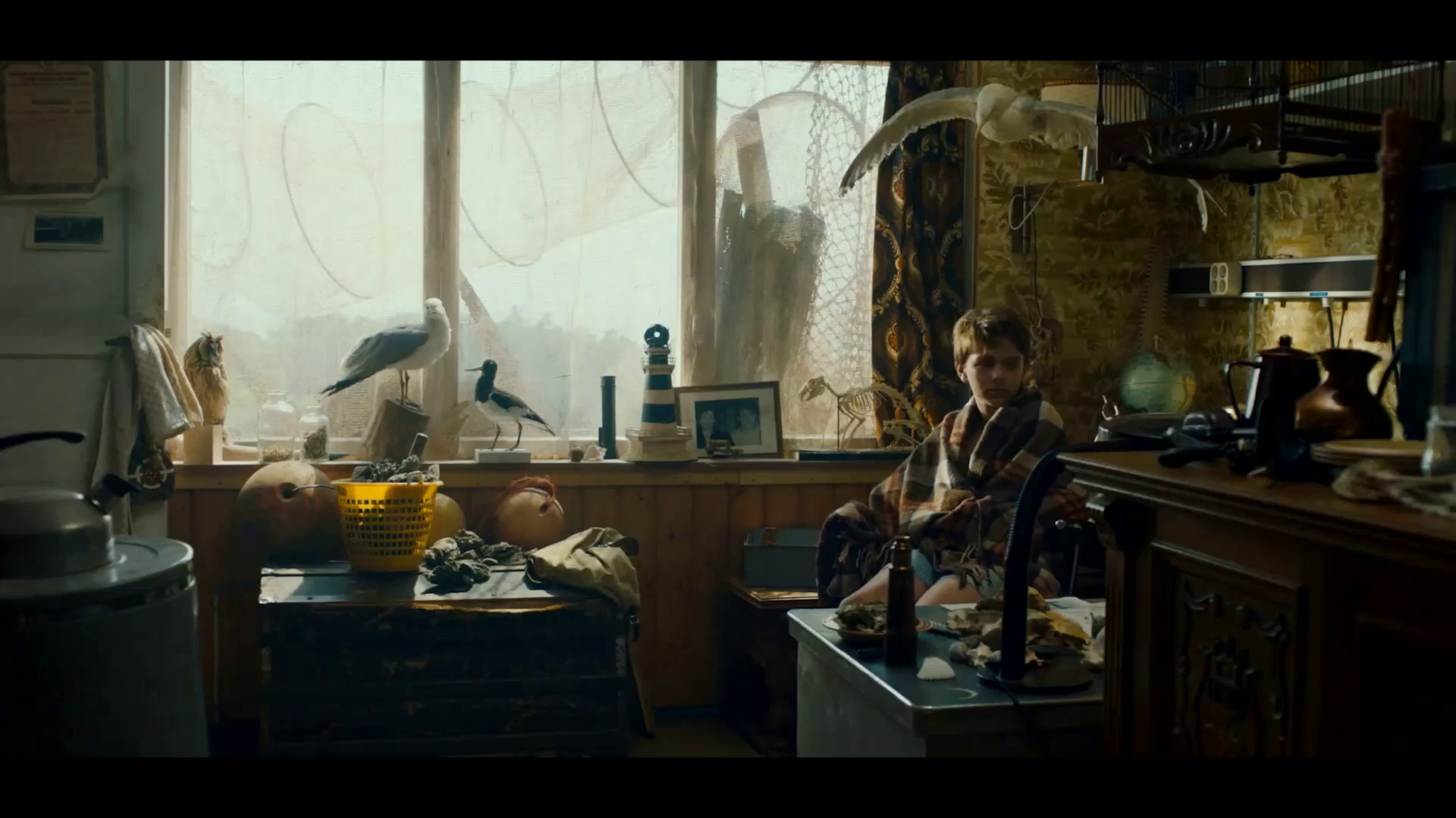 非凡夏日剧照的剧照