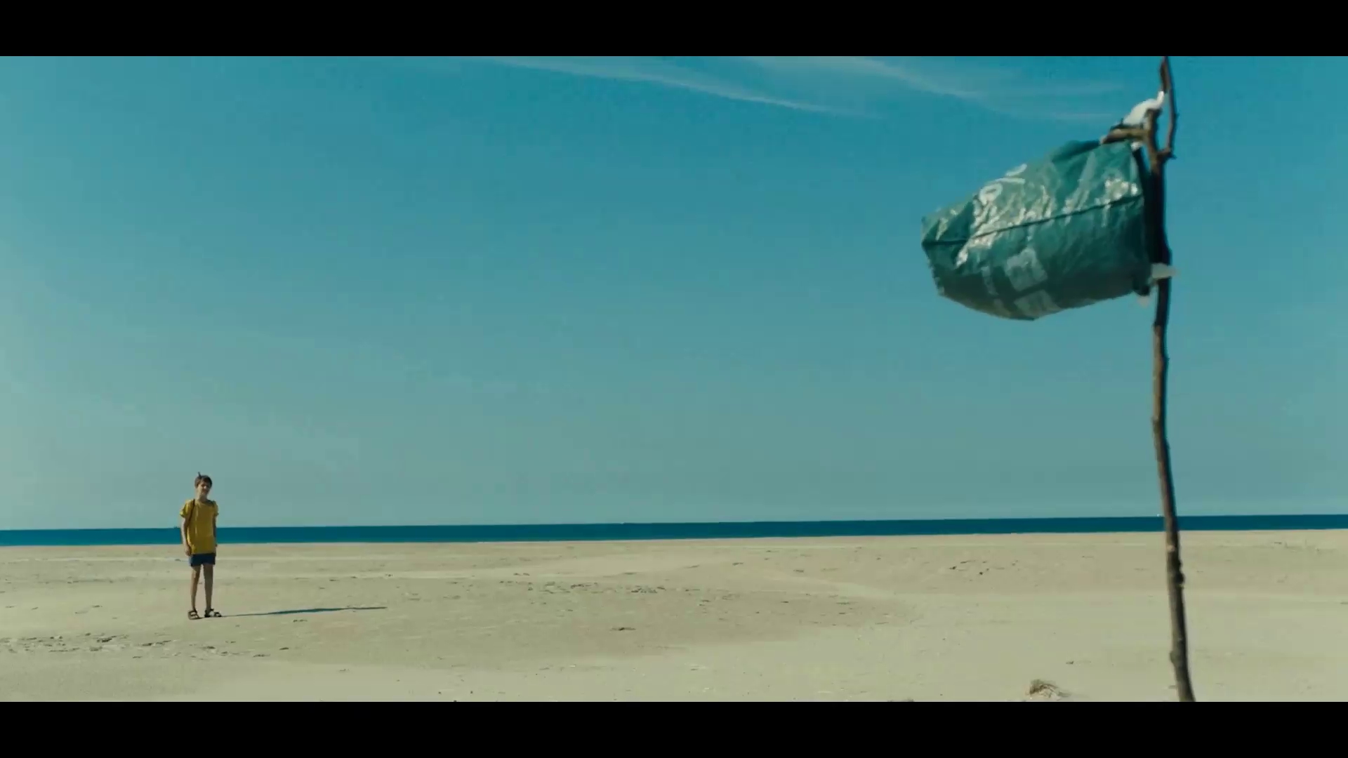 非凡夏日剧照的剧照