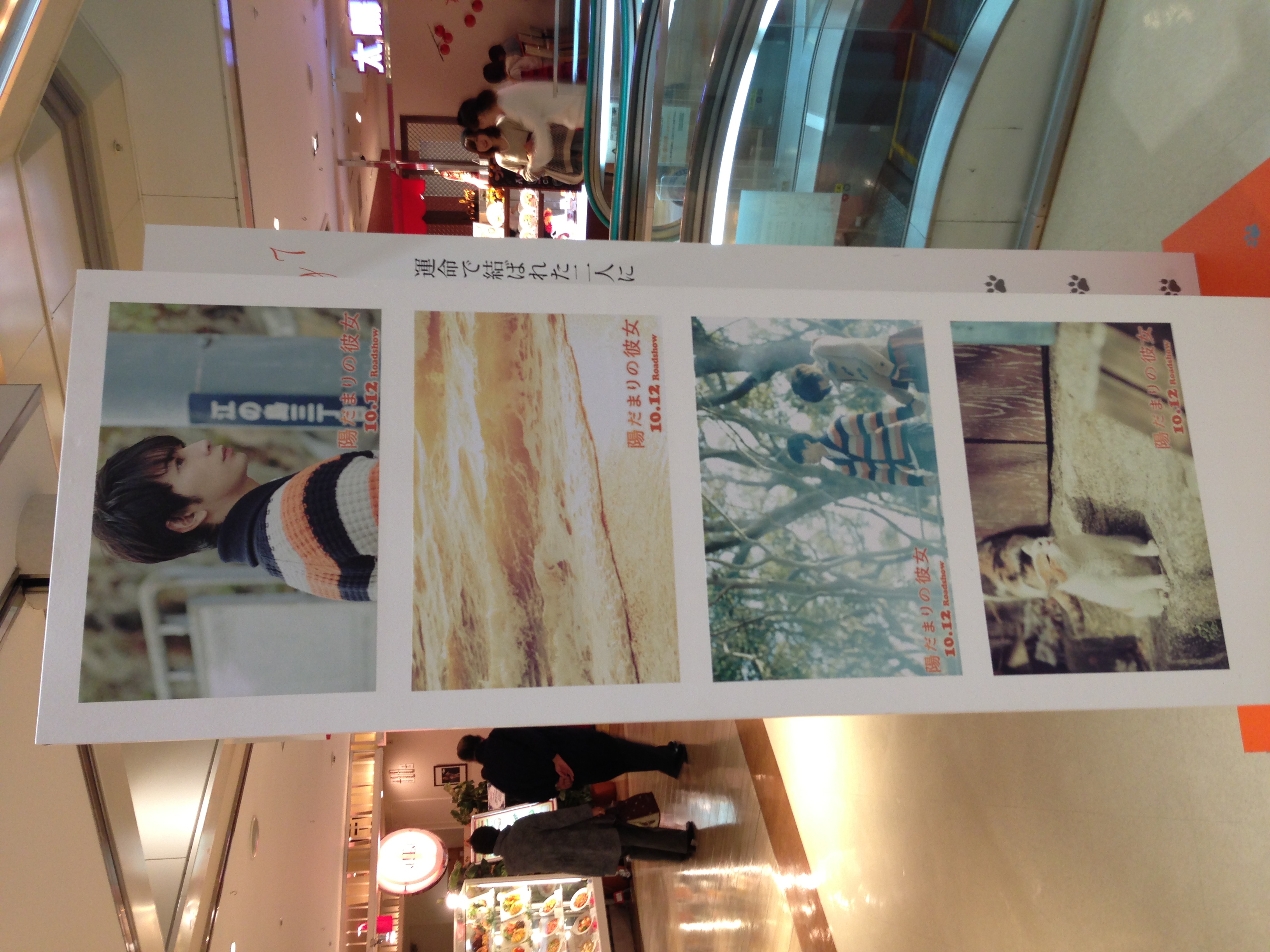 向阳处的她剧照的剧照