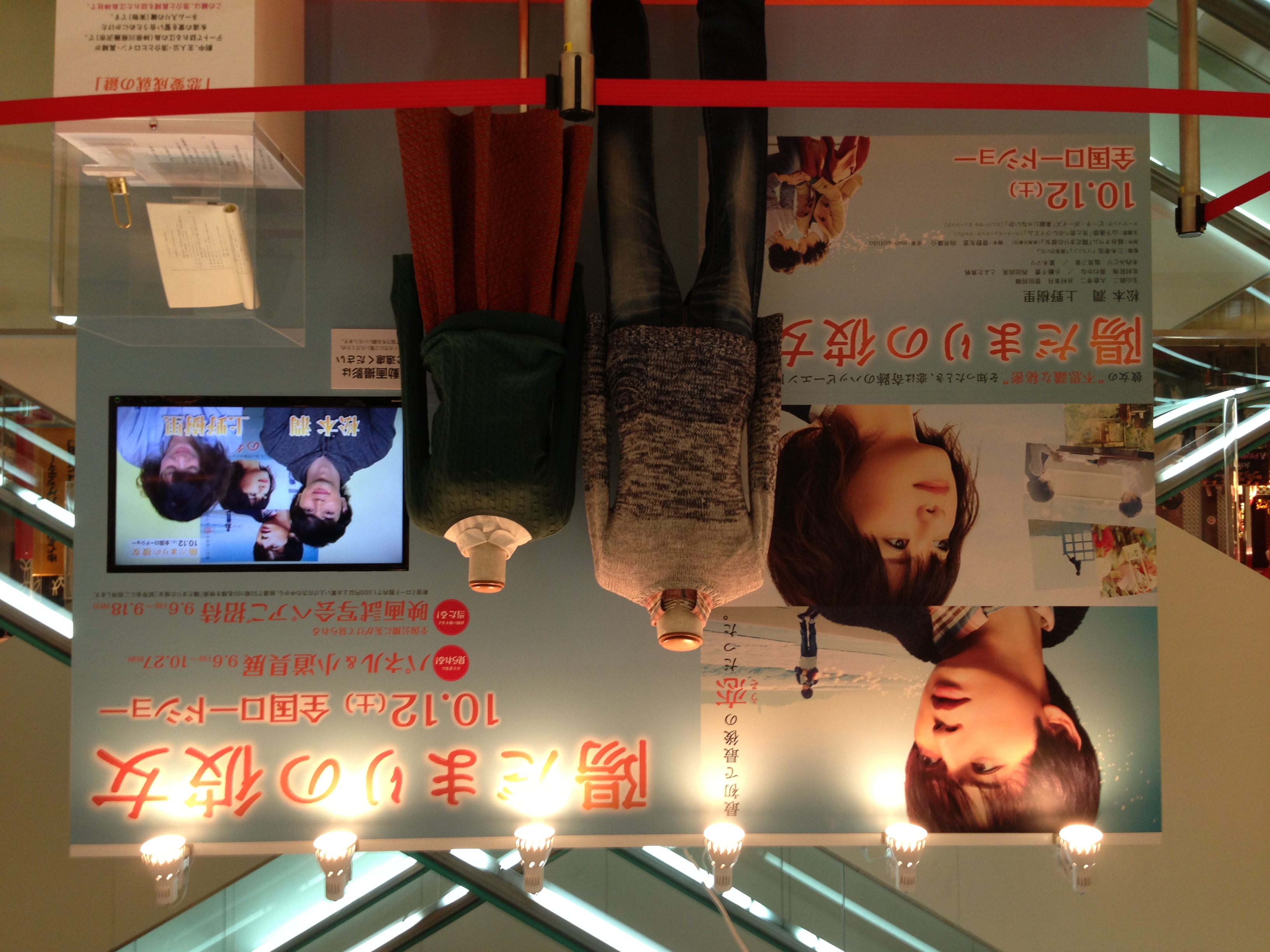 向阳处的她剧照的剧照