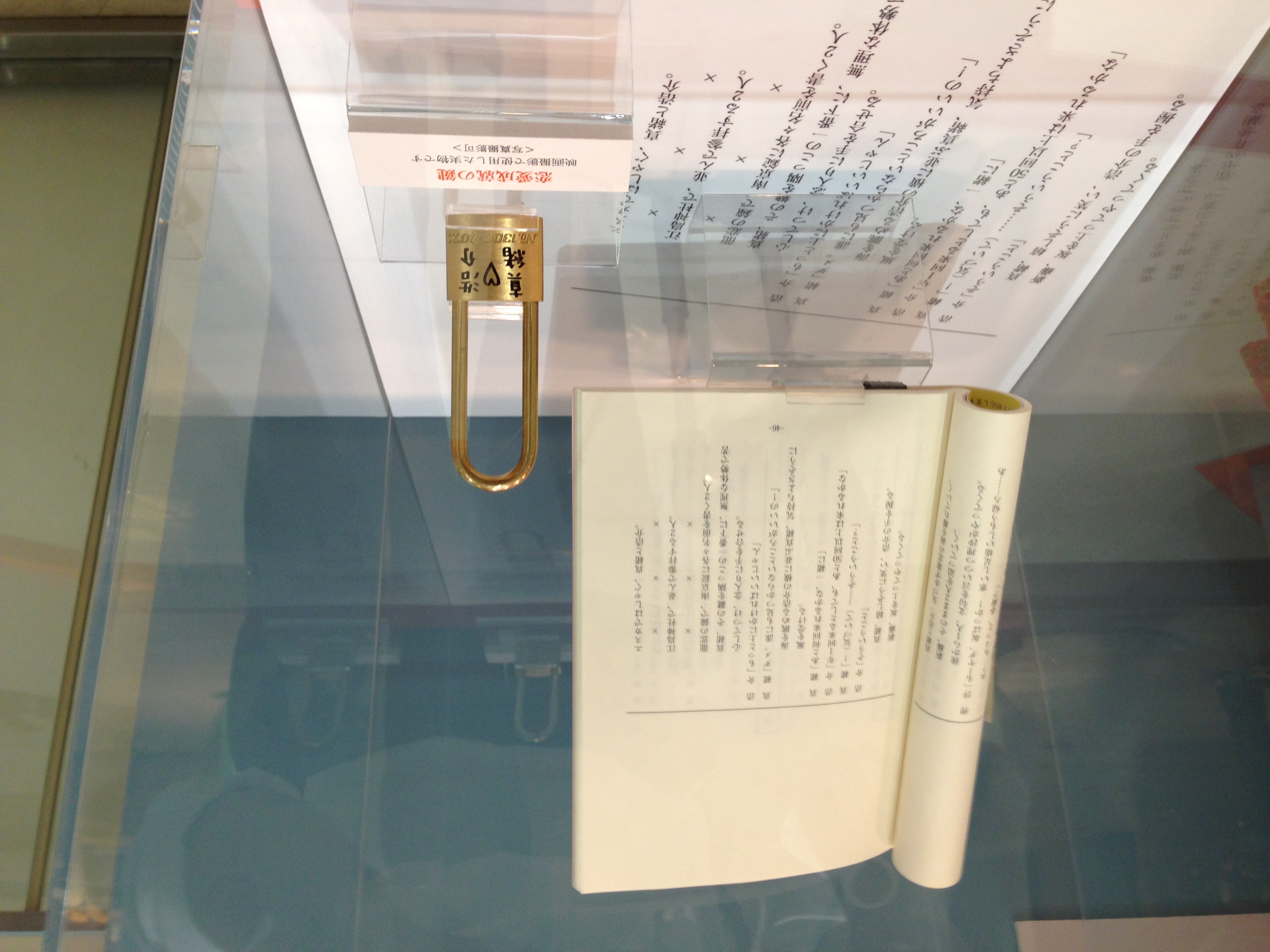 向阳处的她剧照的剧照