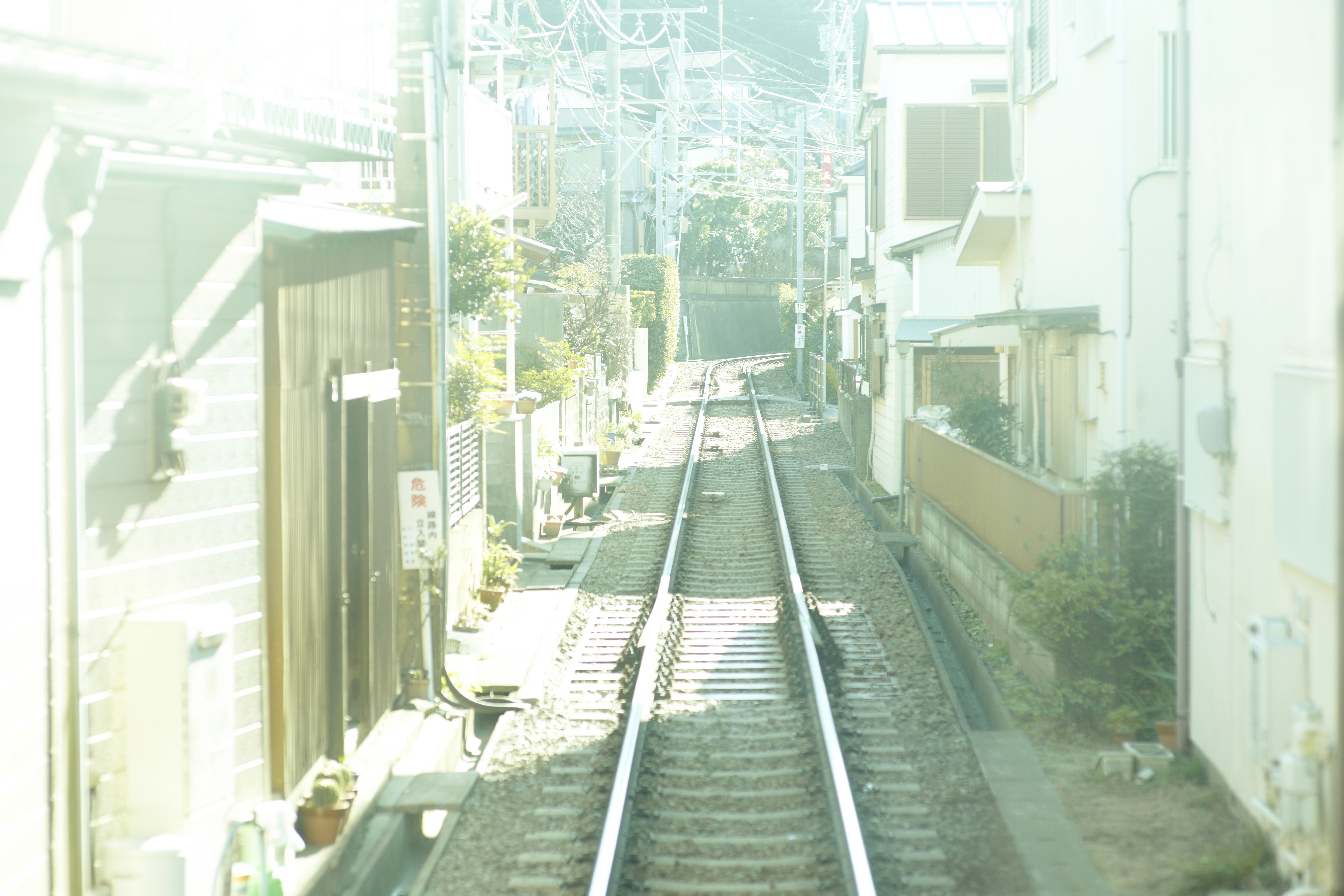 向阳处的她剧照的剧照