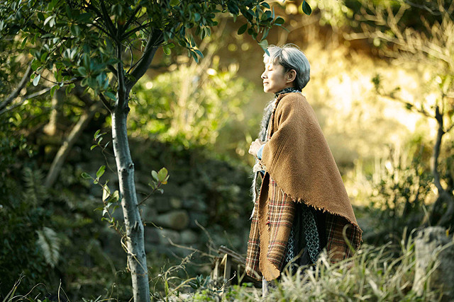 向阳处的她剧照的剧照