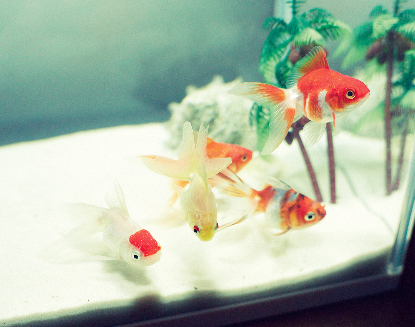 向阳处的她剧照的剧照