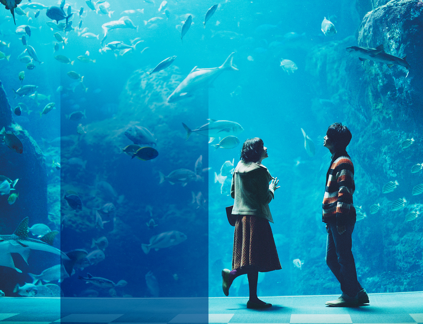 向阳处的她剧照的剧照