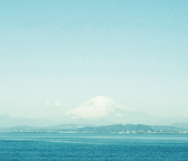 向阳处的她剧照的剧照