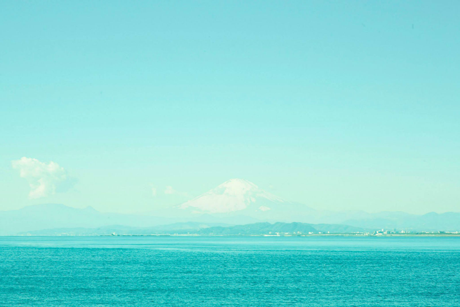 向阳处的她剧照的剧照