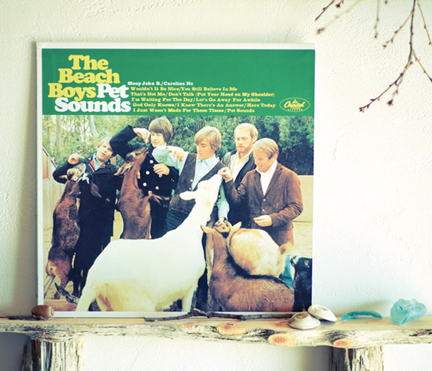 向阳处的她剧照的剧照