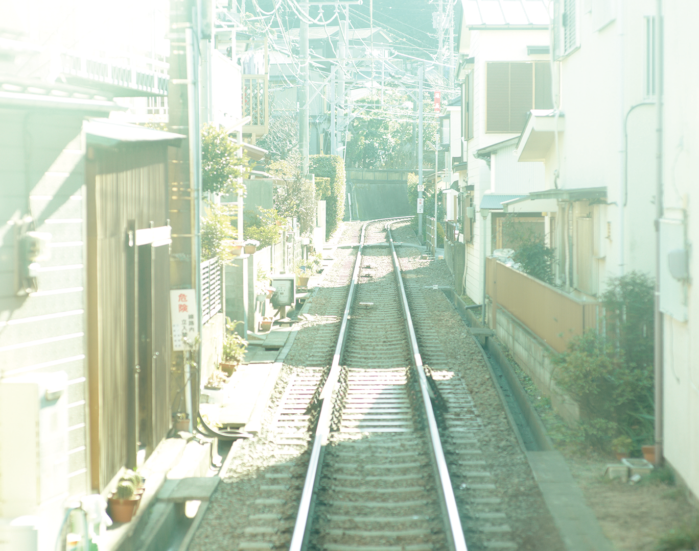 向阳处的她剧照的剧照