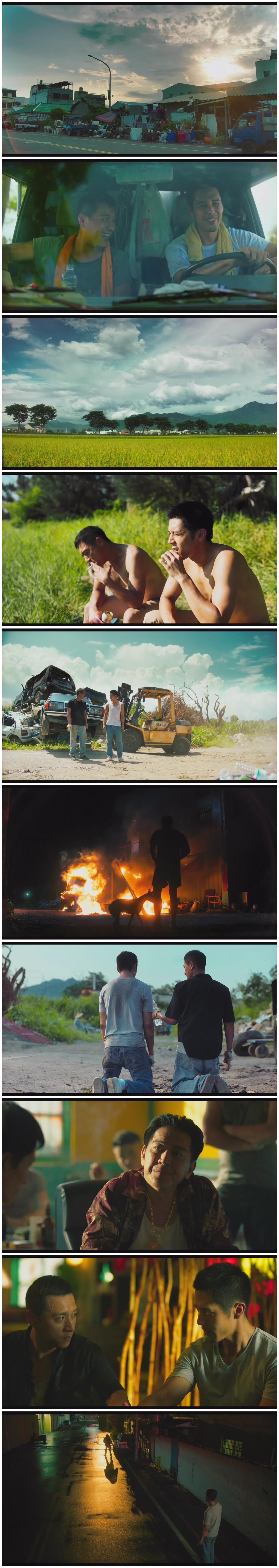 寒单剧照的剧照