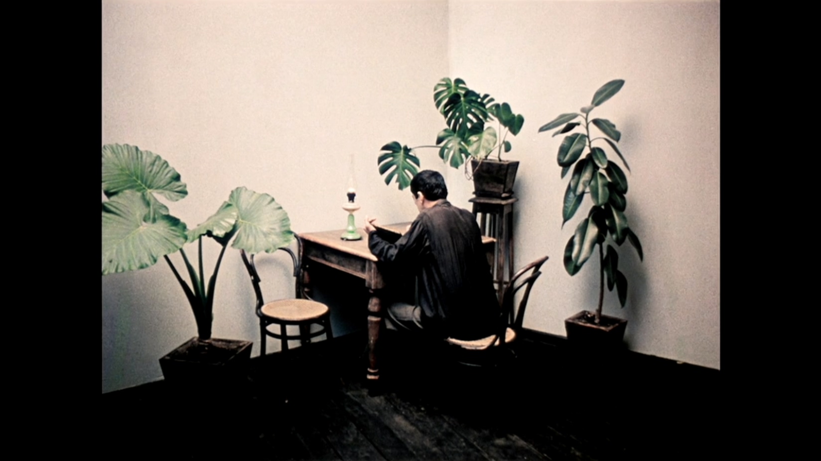 皮罗斯马尼剧照的剧照