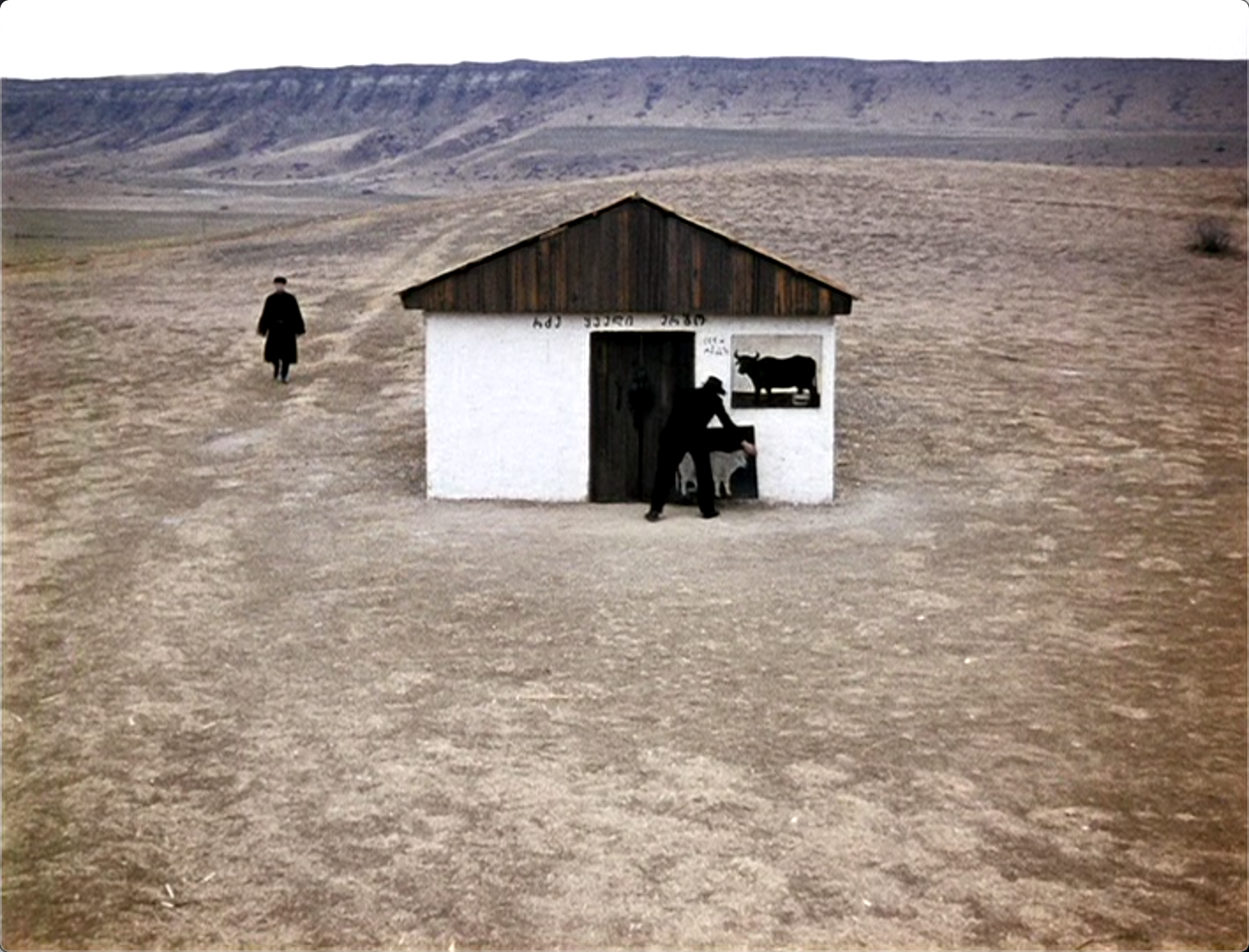 皮罗斯马尼剧照的剧照