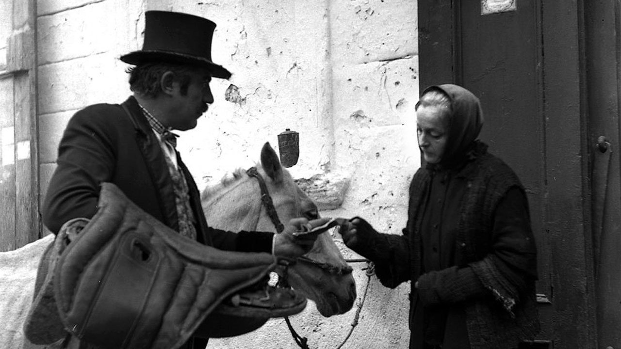 石婚剧照的剧照