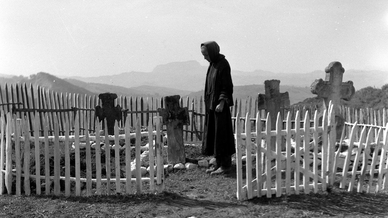 石婚剧照的剧照