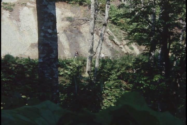 竹山孤旅剧照的剧照