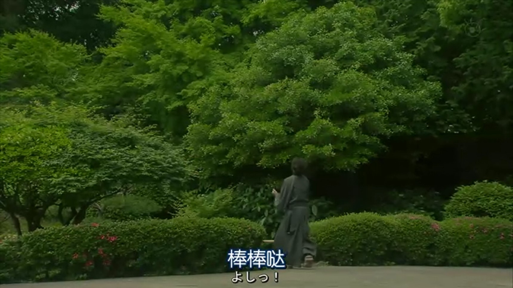 金田一耕助VS明智小五郎2剧照的剧照