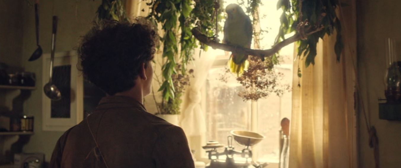 动物奇缘剧照的剧照