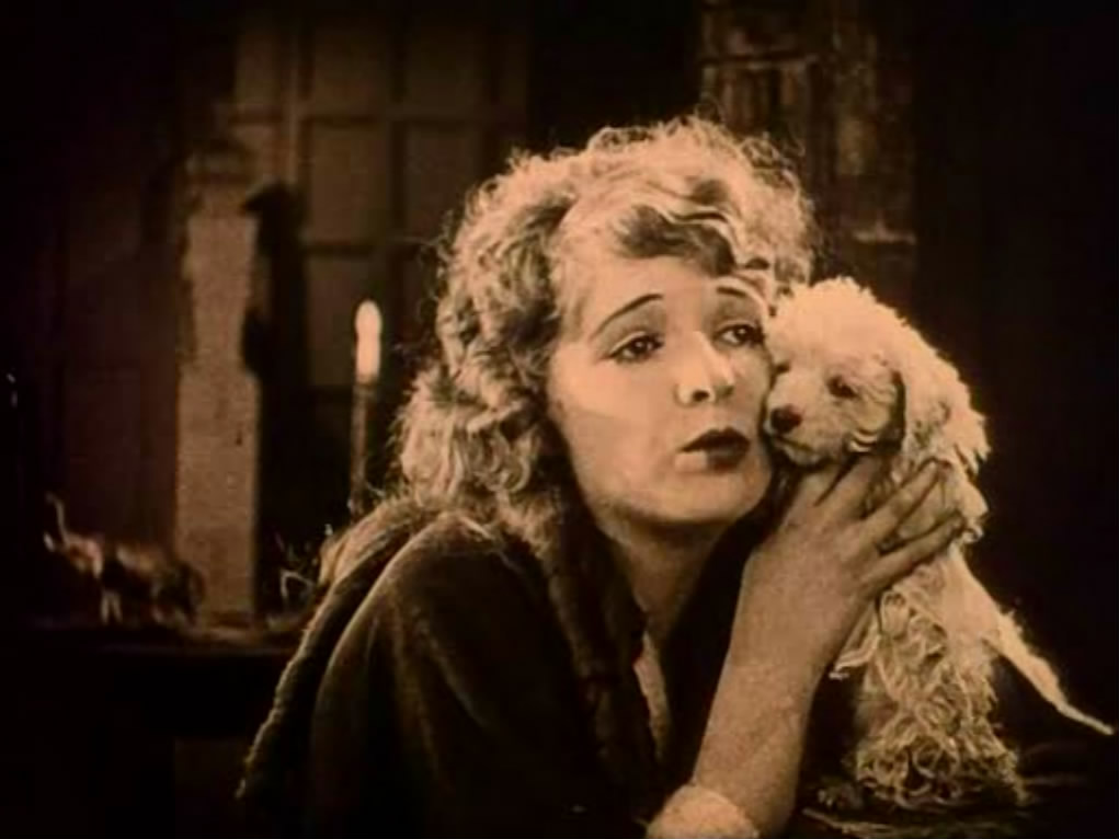 七年厄运剧照的剧照