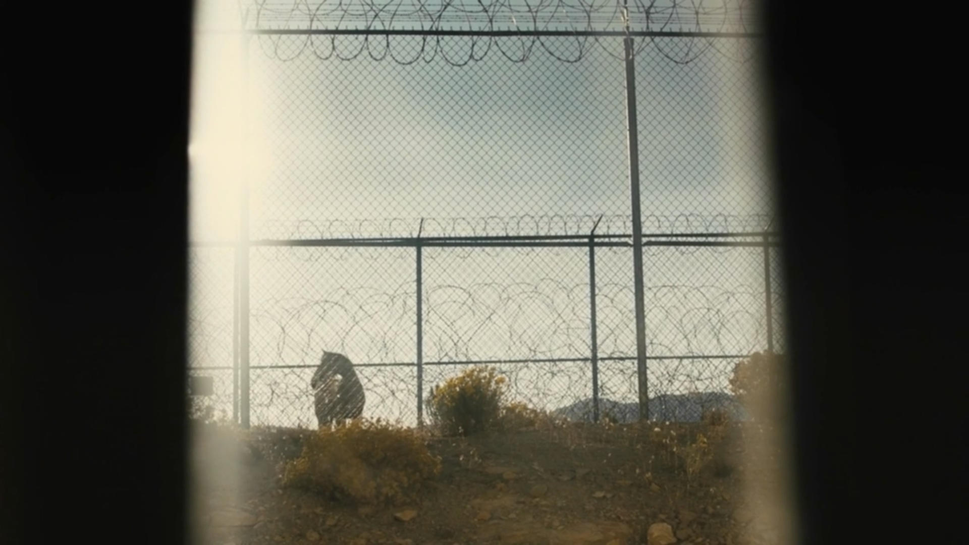 野马剧照的剧照