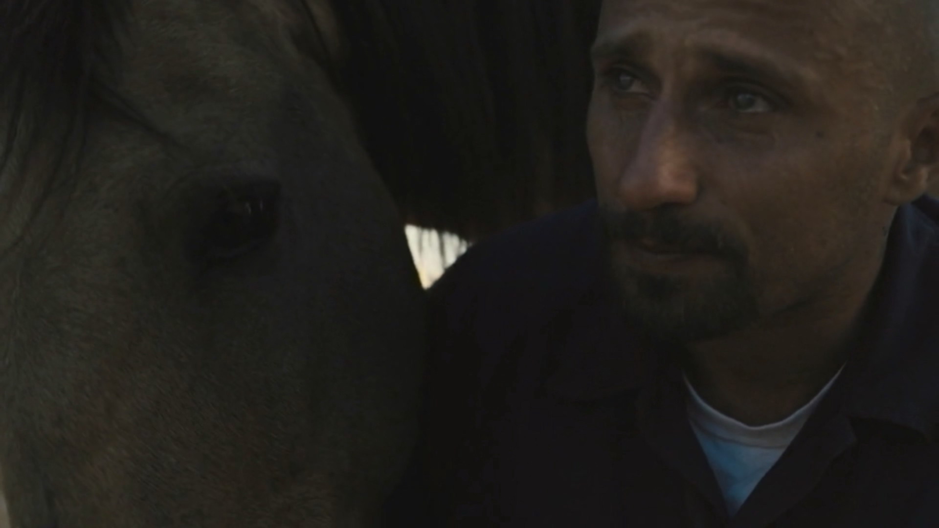 野马剧照的剧照