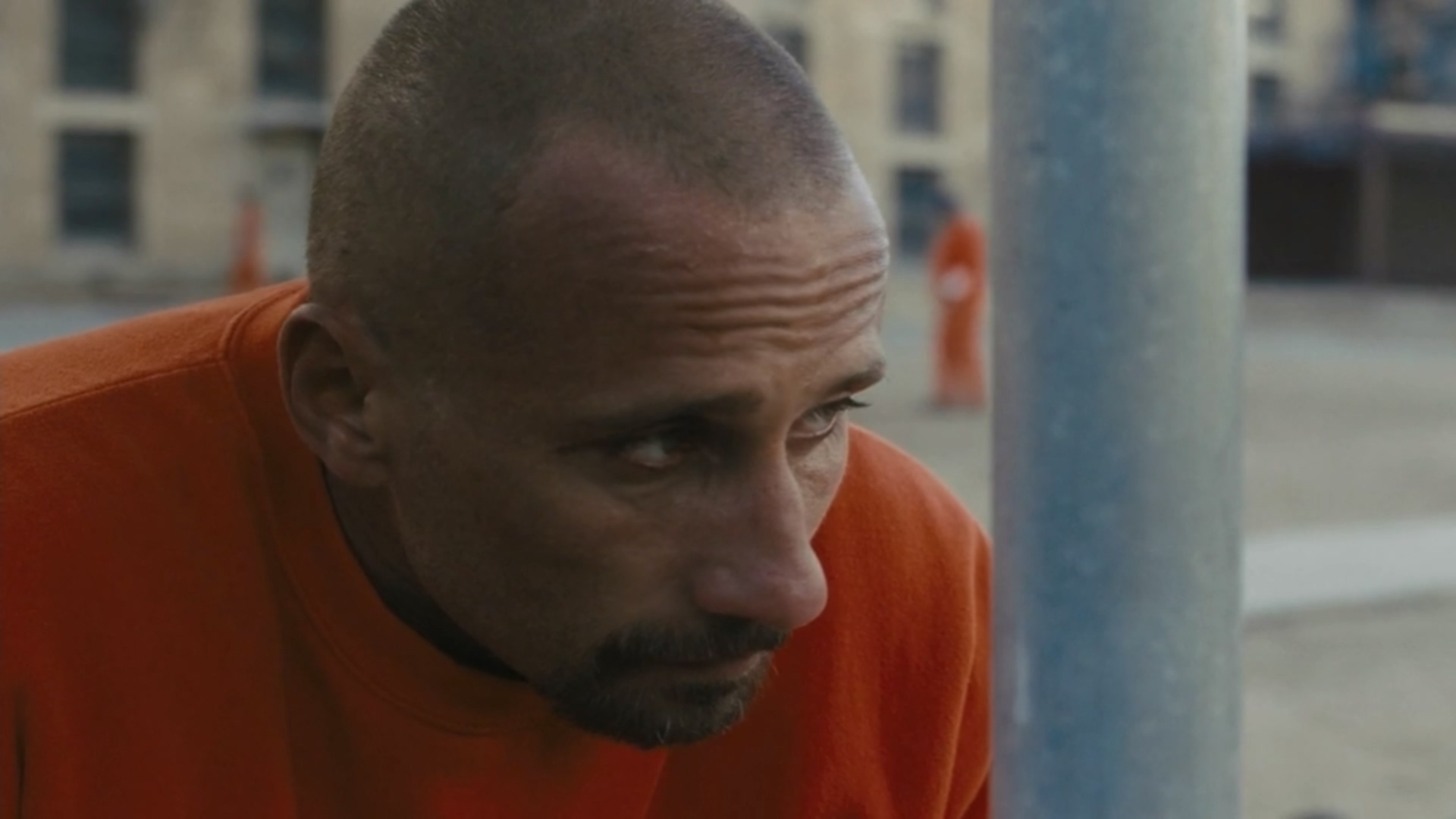 野马剧照的剧照