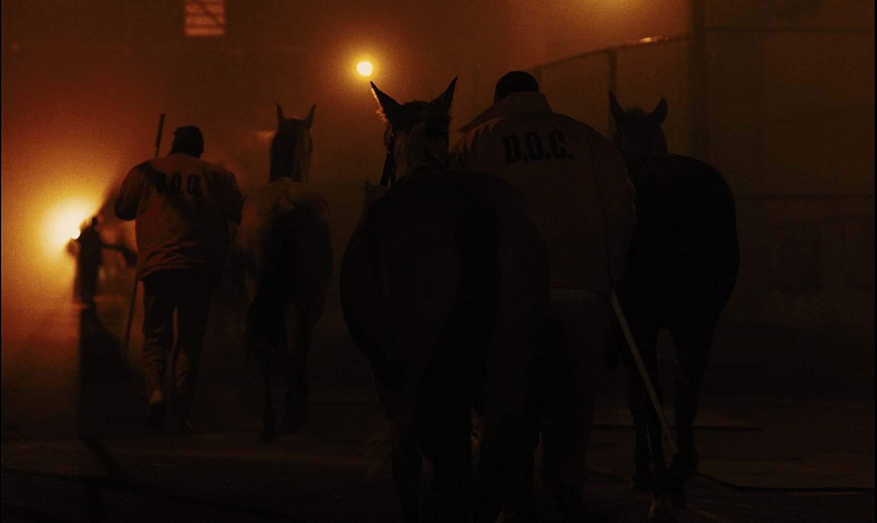 野马剧照的剧照