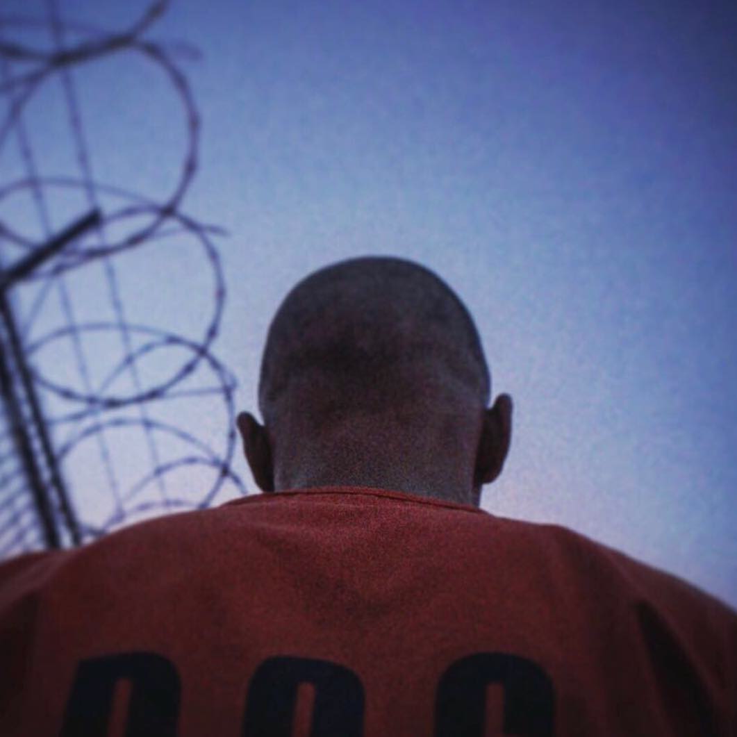 野马剧照的剧照