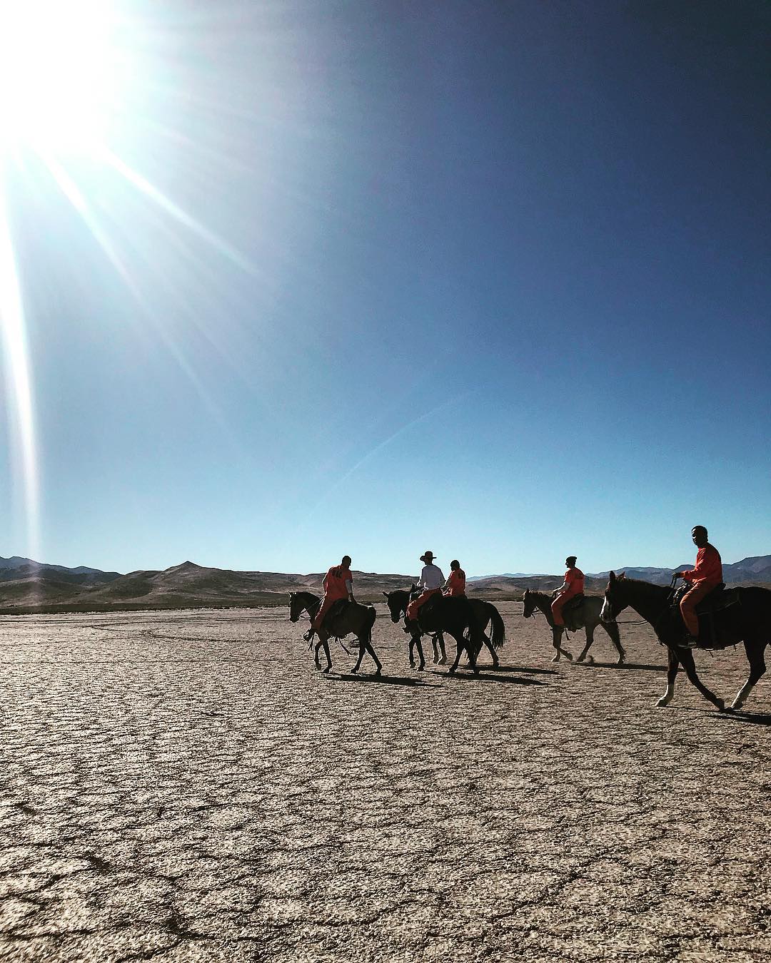 野马剧照的剧照