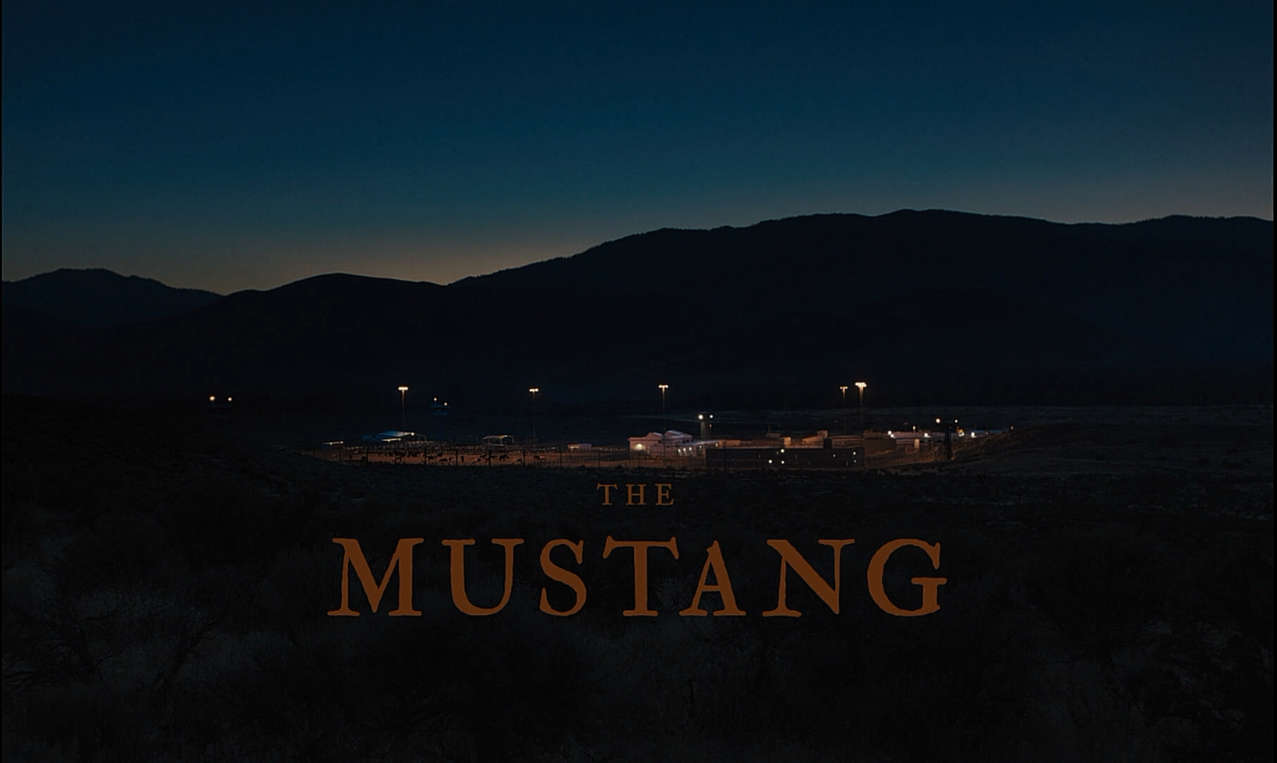 野马剧照的剧照