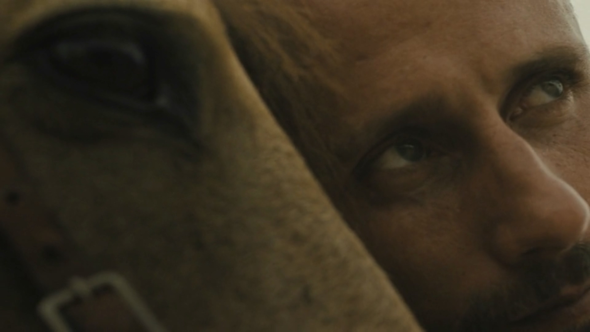 野马剧照的剧照