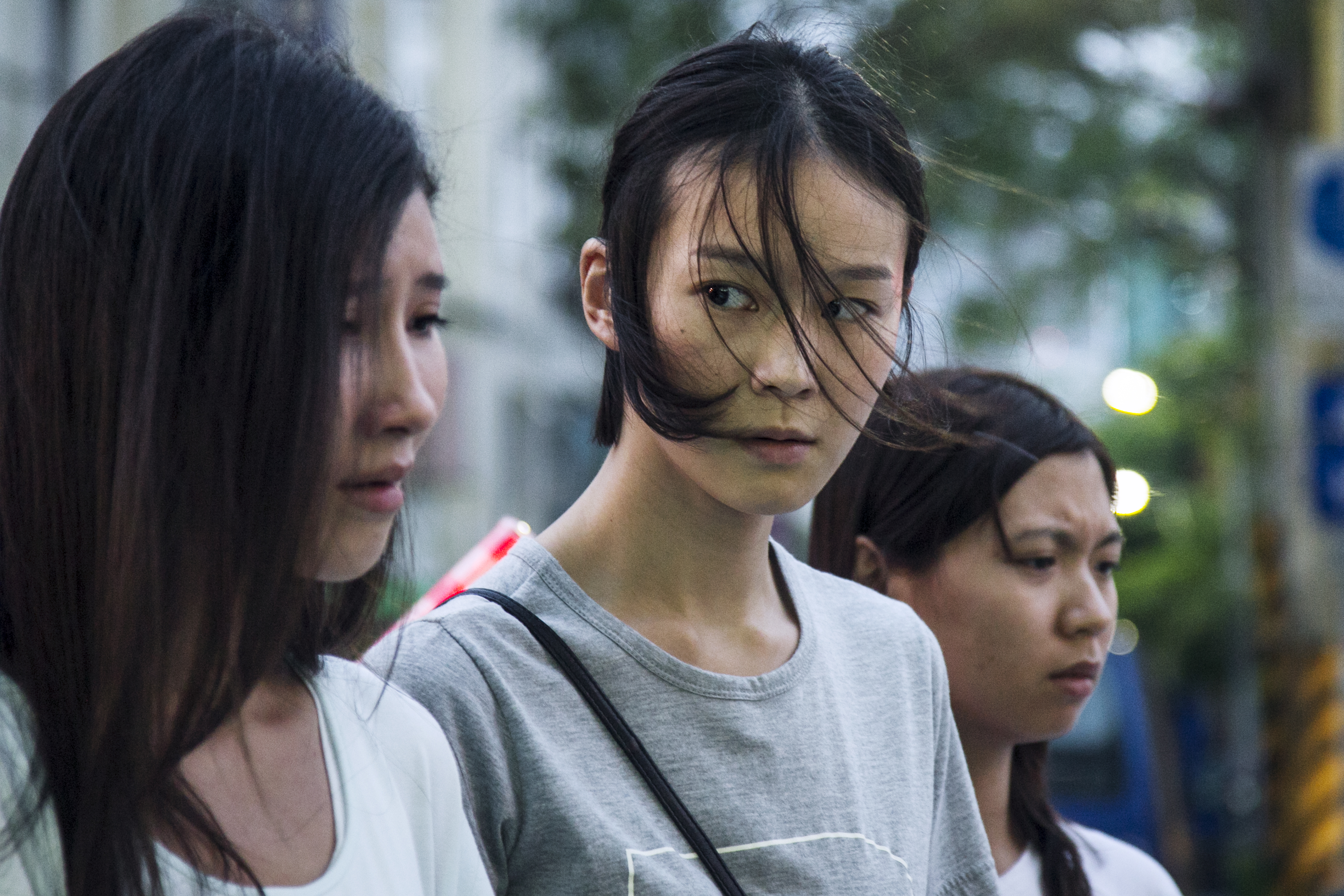 白蚁剧照的剧照