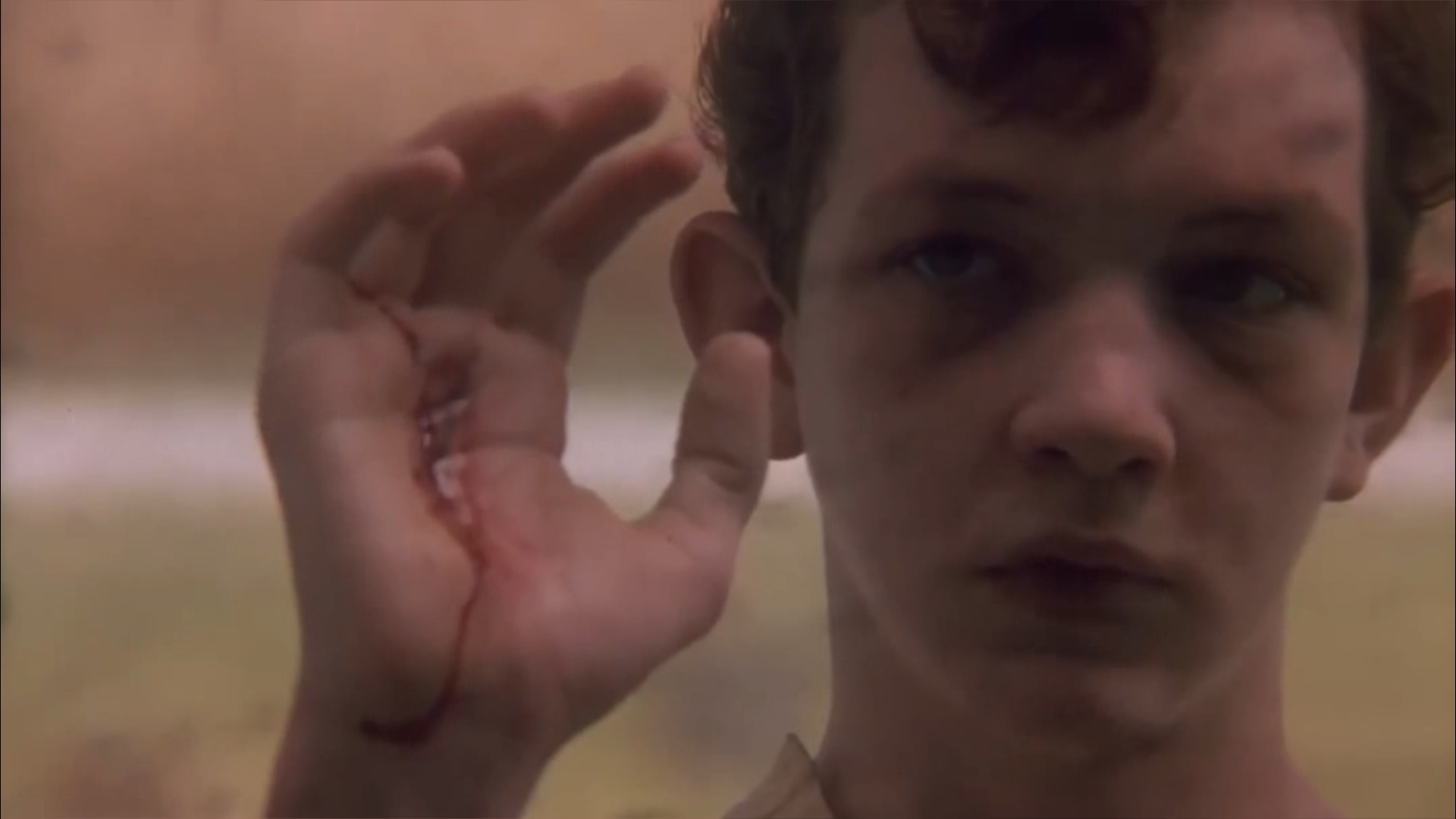 玉米地男孩4剧照的剧照