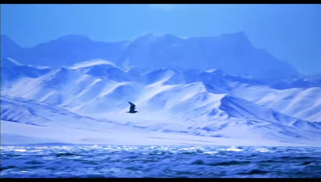 冈拉梅朵剧照的剧照