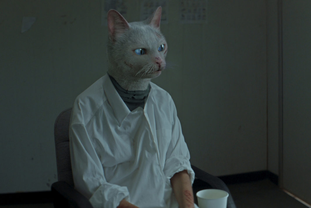 十年泰国剧照的剧照