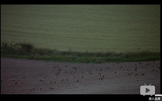 四个婚礼和一个葬礼剧照的剧照