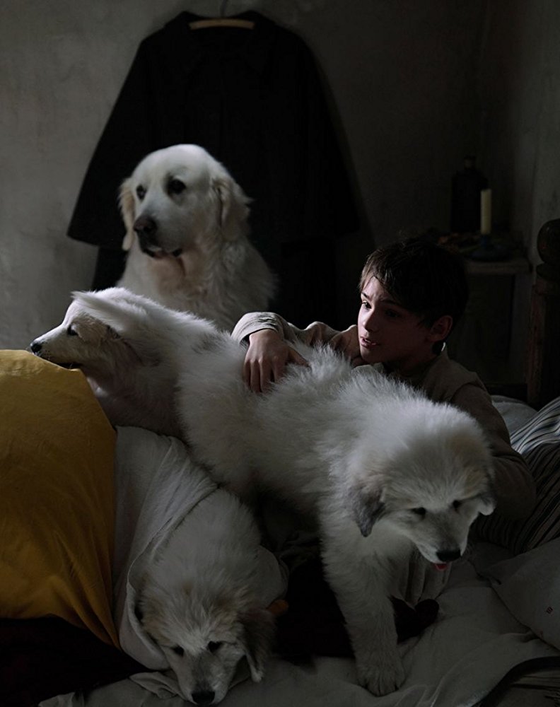 灵犬雪莉3剧照的剧照