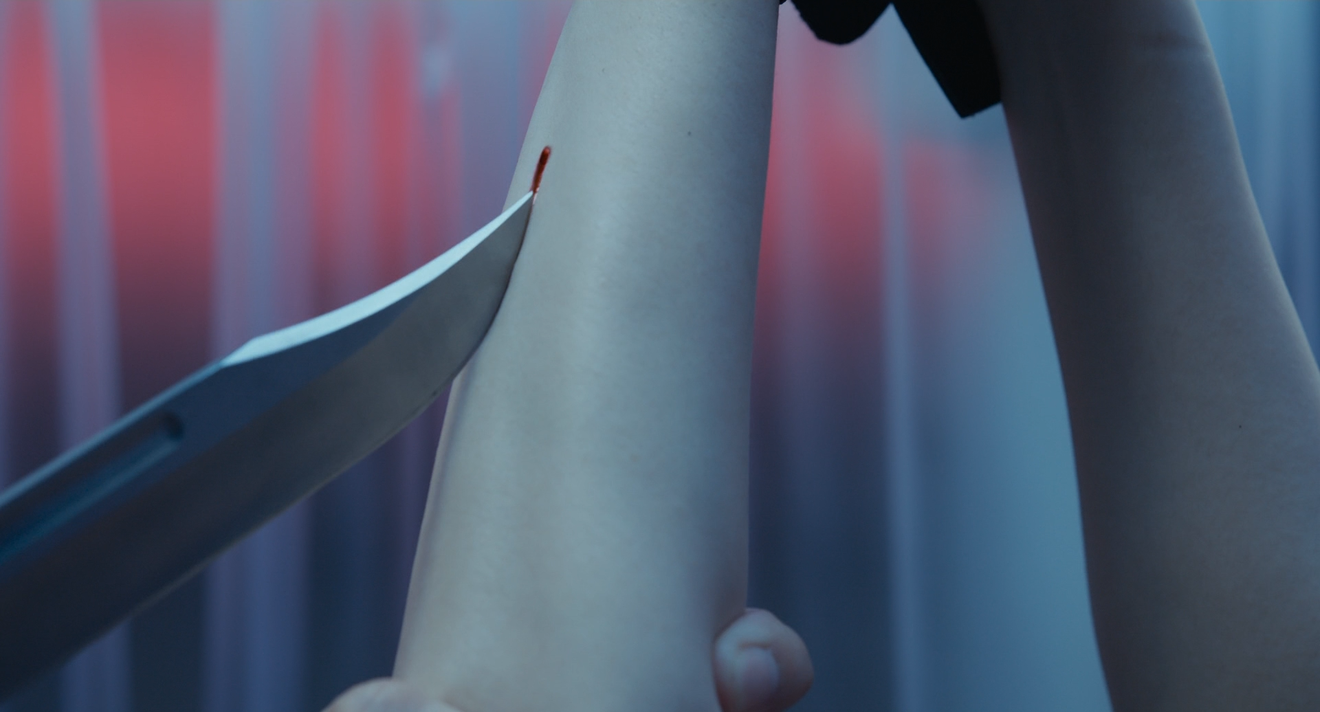 虽然只是弄丢了手机剧照的剧照