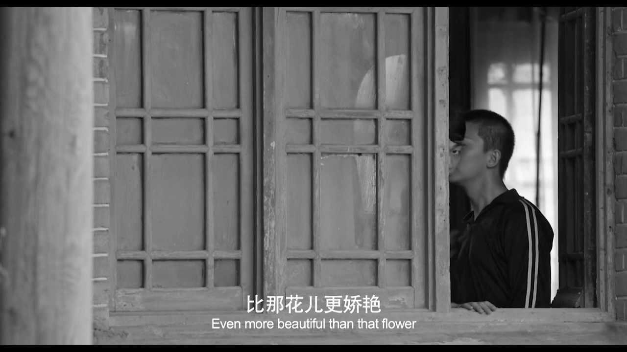 我们的四十年剧照的剧照