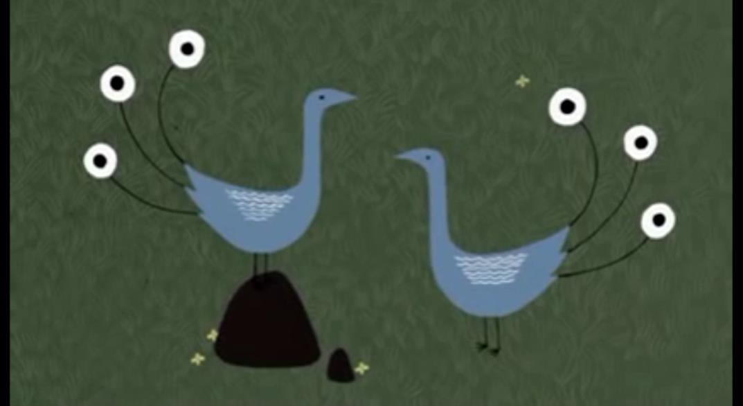 安奈的眼睛剧照的剧照