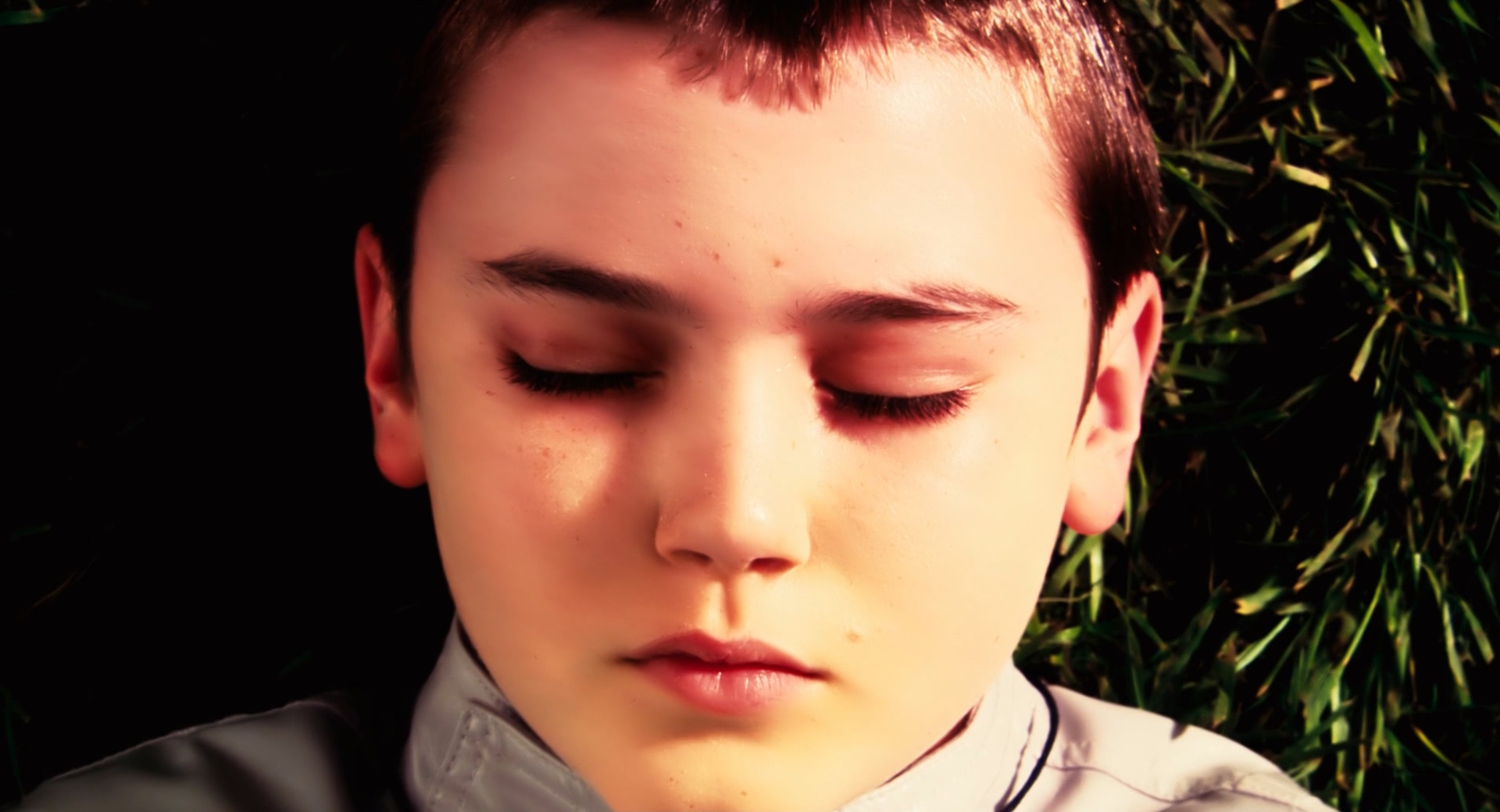 致命紫罗兰剧照的剧照