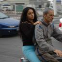 谷子和鲻鱼剧照