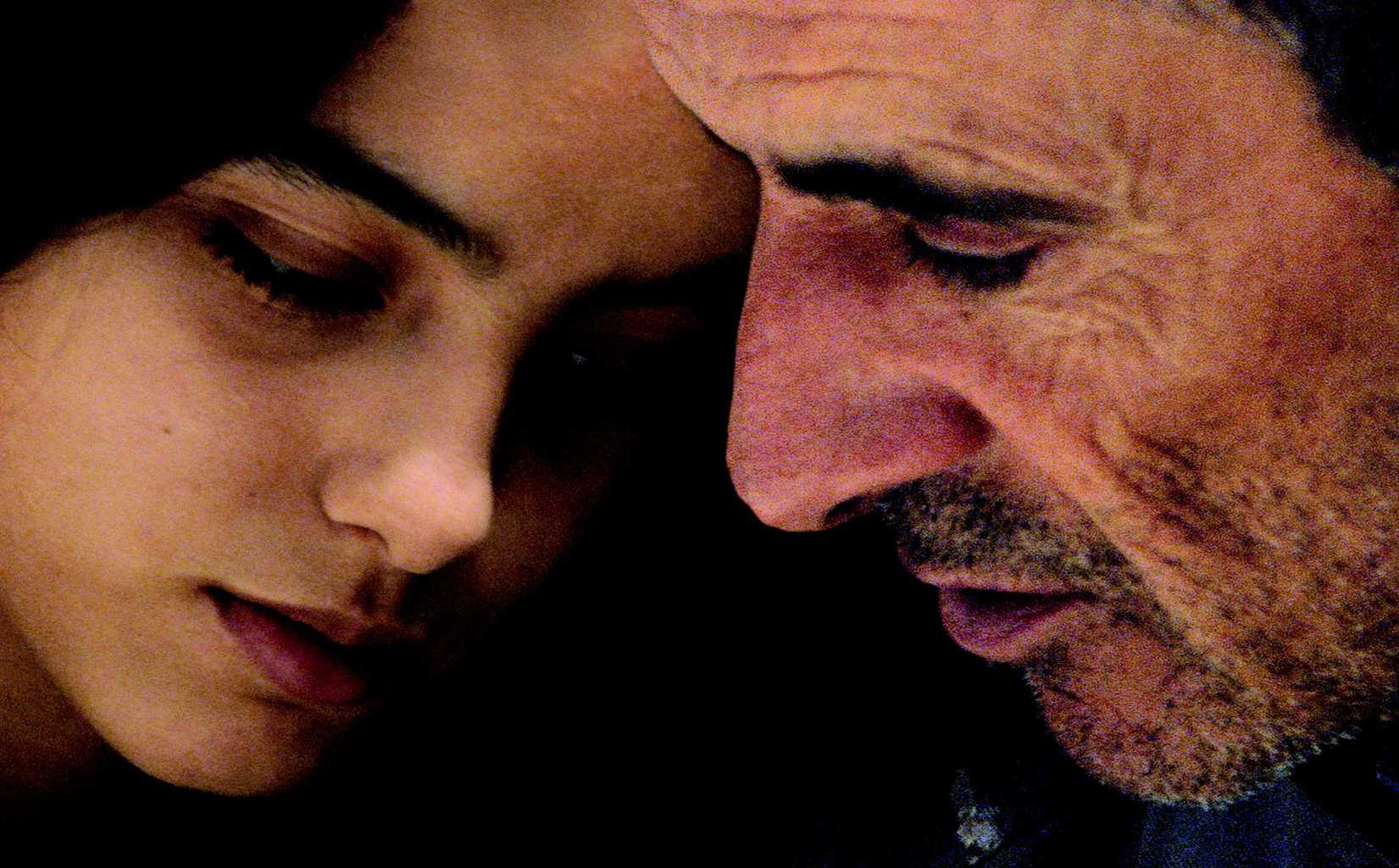 谷子和鲻鱼剧照的剧照