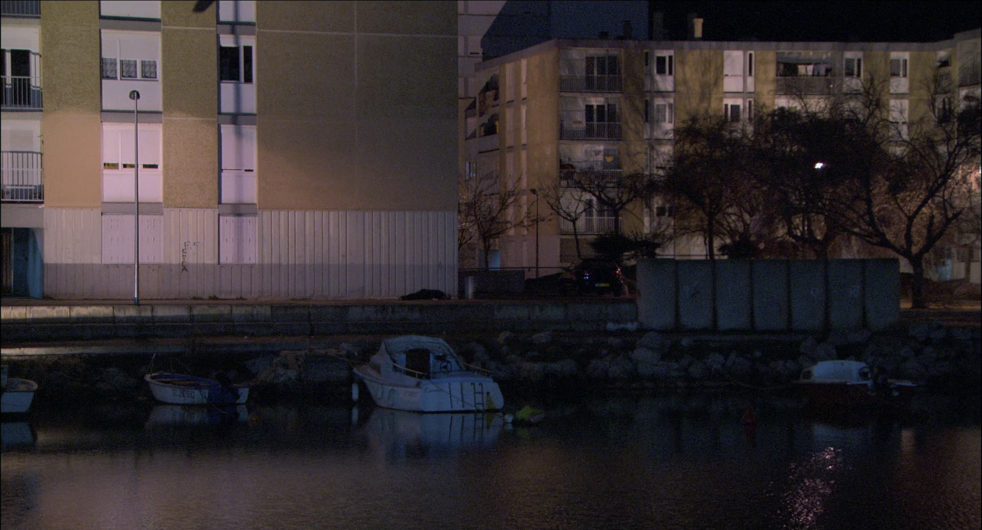 谷子和鲻鱼剧照的剧照