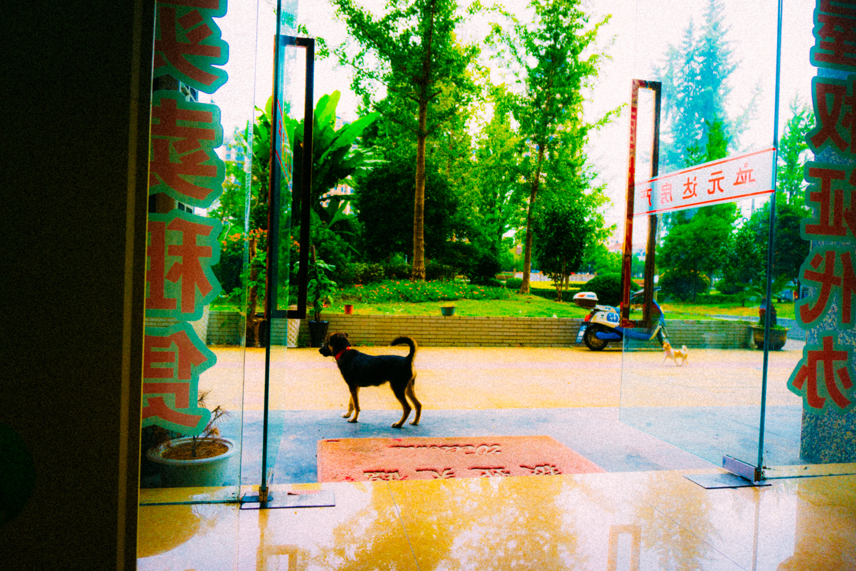 再见语言剧照的剧照