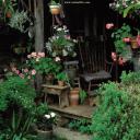 塔莎杜朵：一個靜水的故事剧照