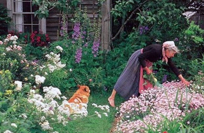 塔莎杜朵：一個靜水的故事剧照的剧照