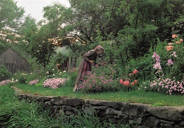 塔莎杜朵：一個靜水的故事剧照的剧照