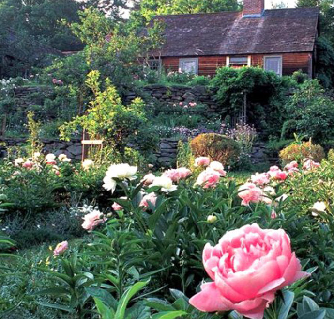 塔莎杜朵：一個靜水的故事剧照的剧照