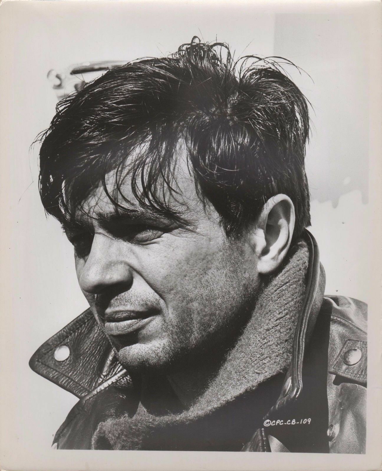 冷血剧照的剧照