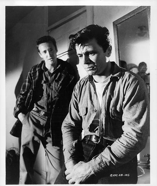 冷血剧照的剧照